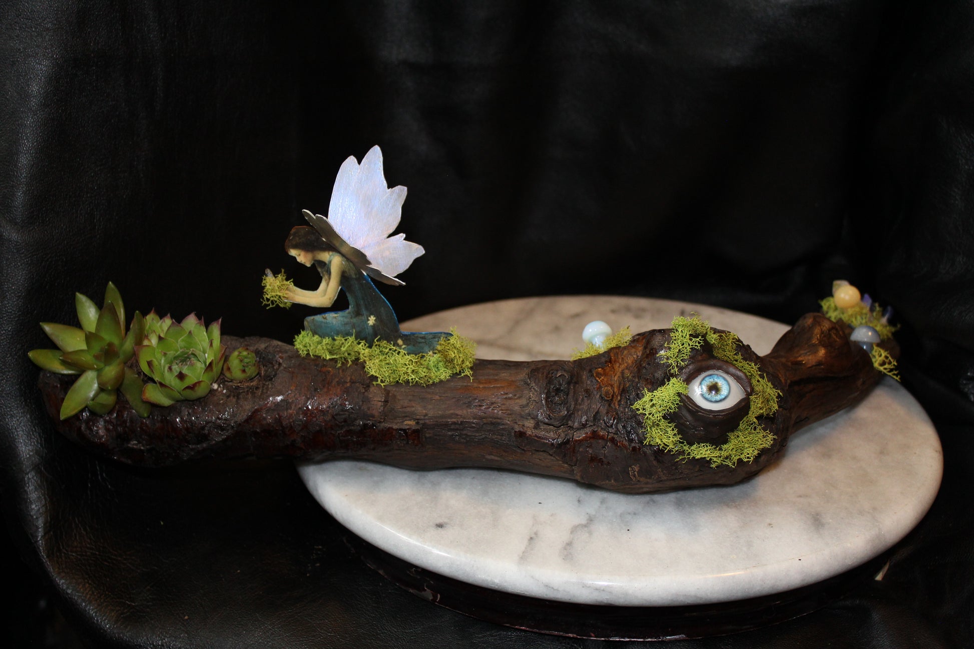Nature’s Eye Driftwood Planter
