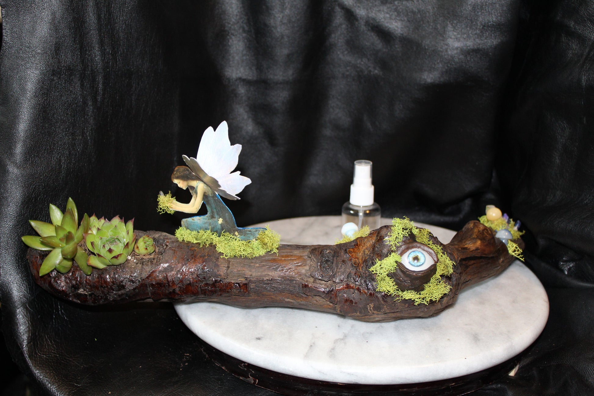 Nature’s Eye Driftwood Planter