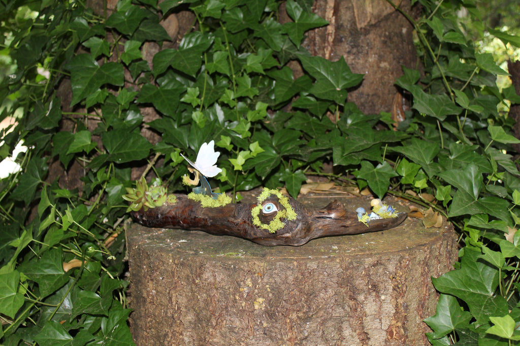 Nature’s Eye Driftwood Planter