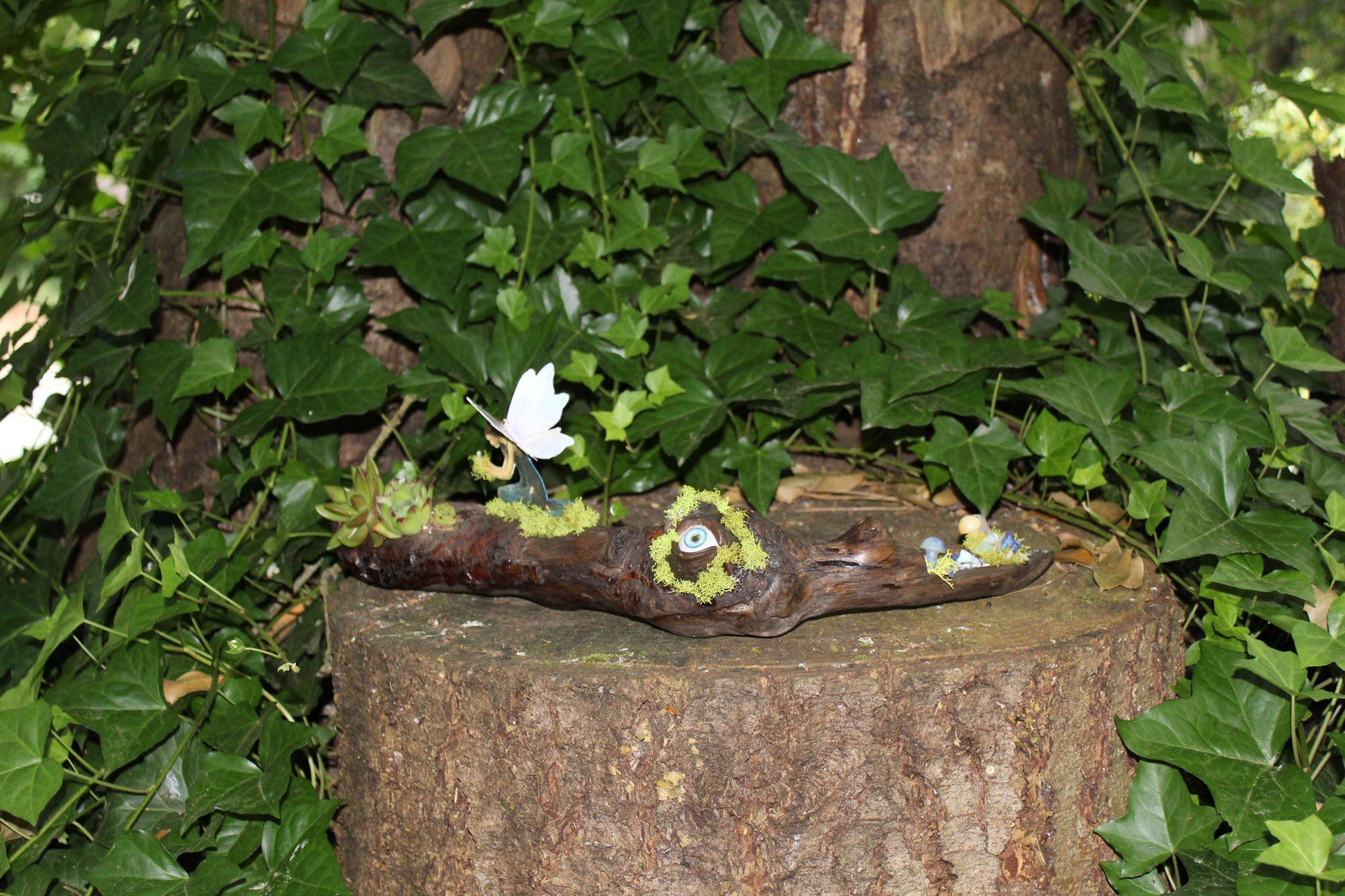 Nature’s Eye Driftwood Planter