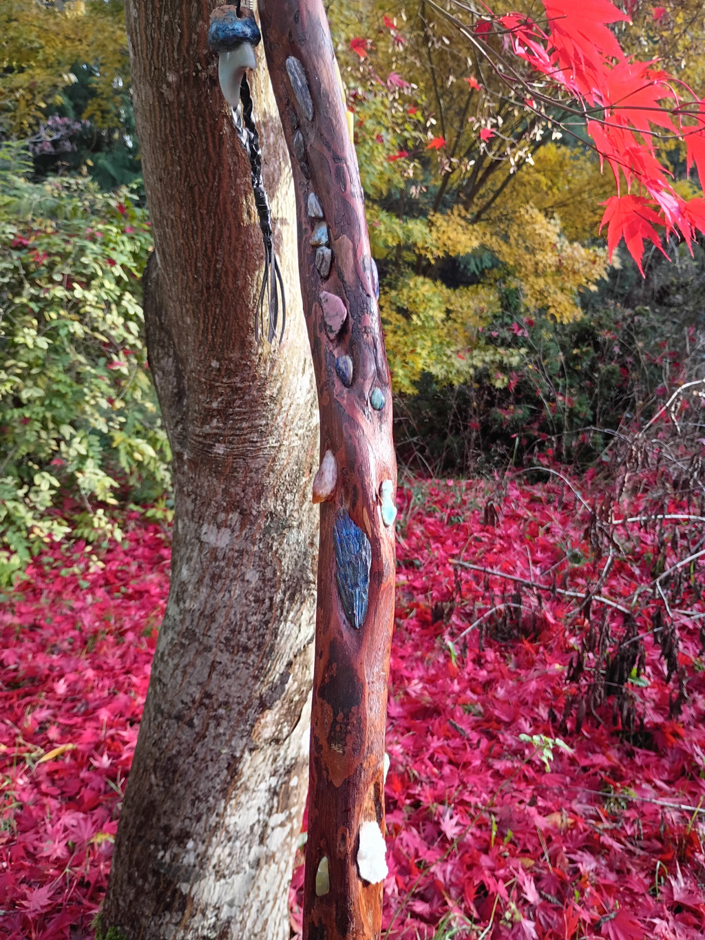 Diamond Willow Staff