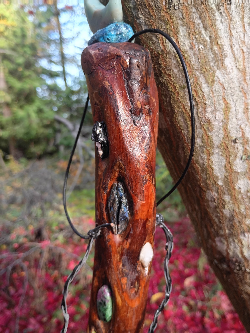 Diamond Willow Staff