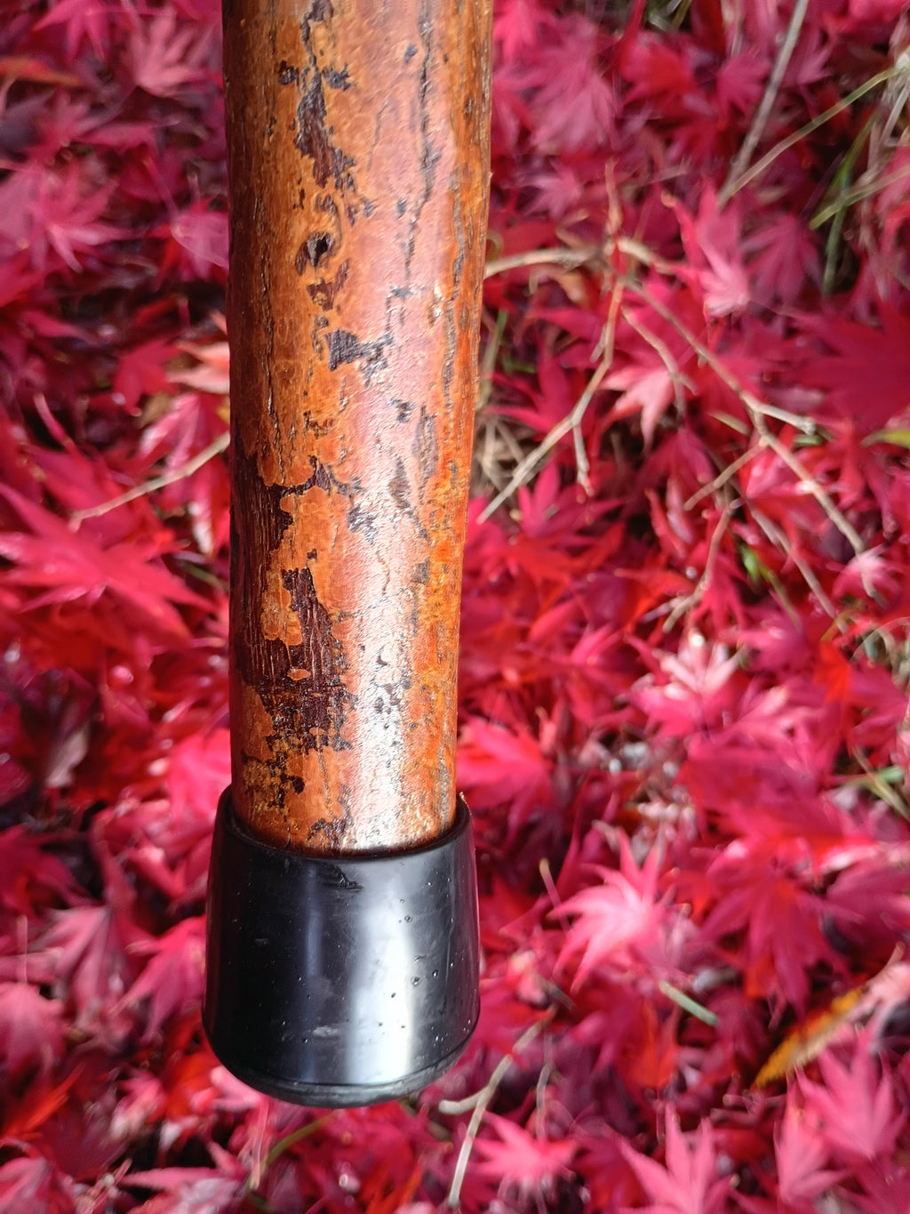 Diamond Willow Staff