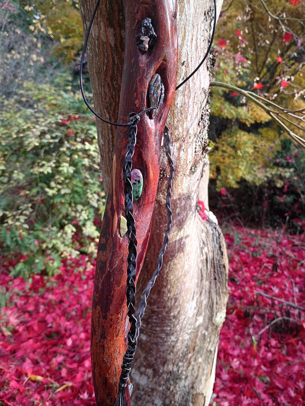 Diamond Willow Staff