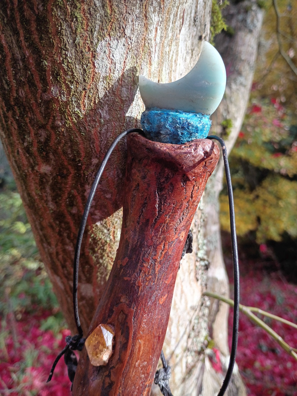 Diamond Willow Staff