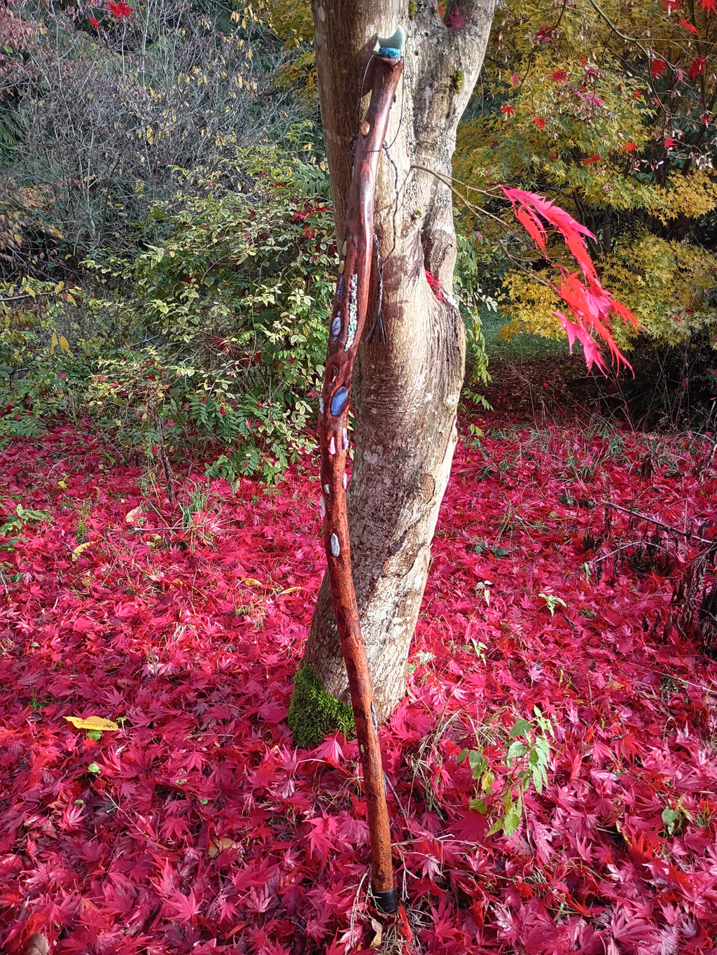 Diamond Willow Staff