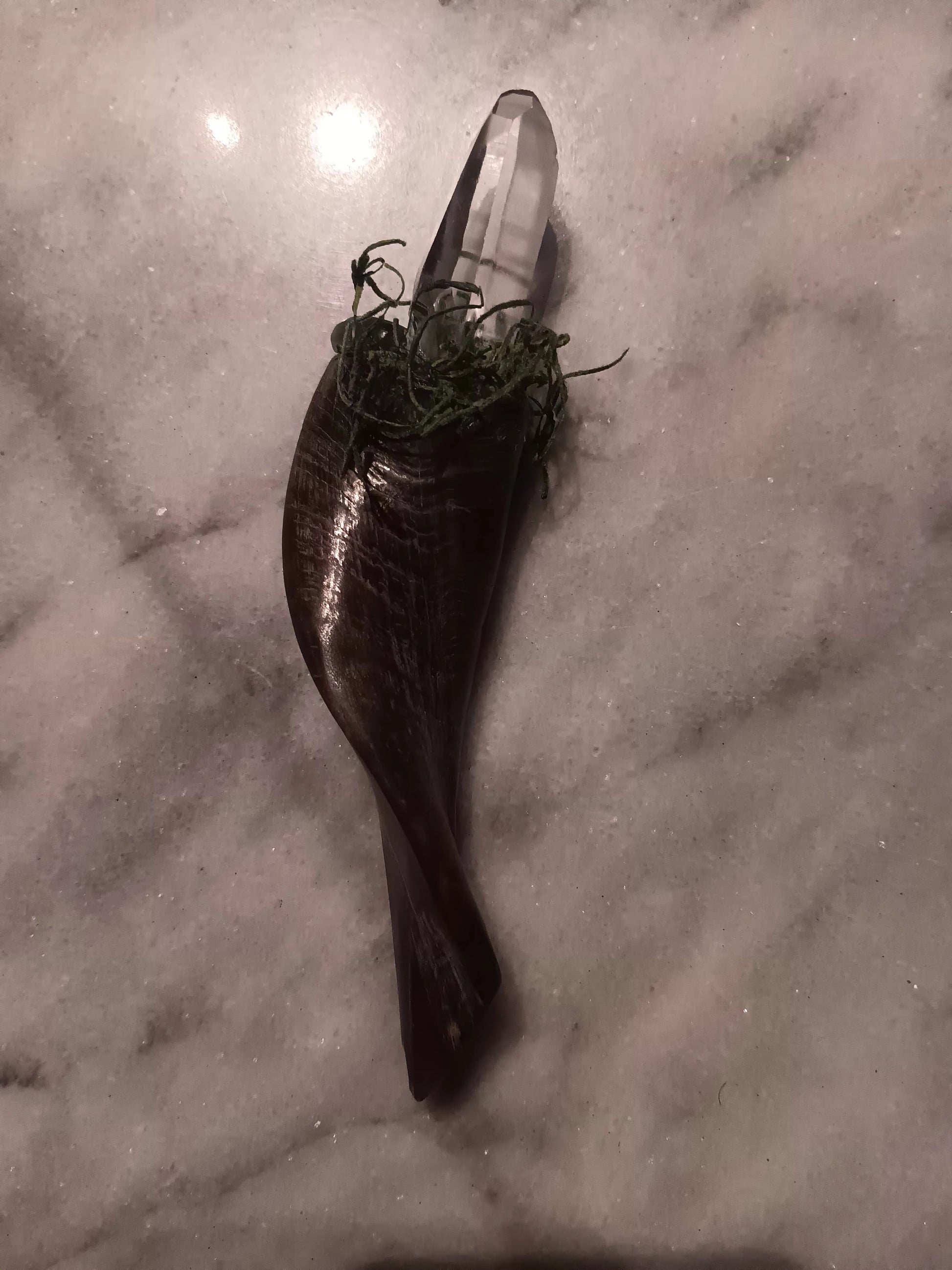 Goat Horn Quartz Wand