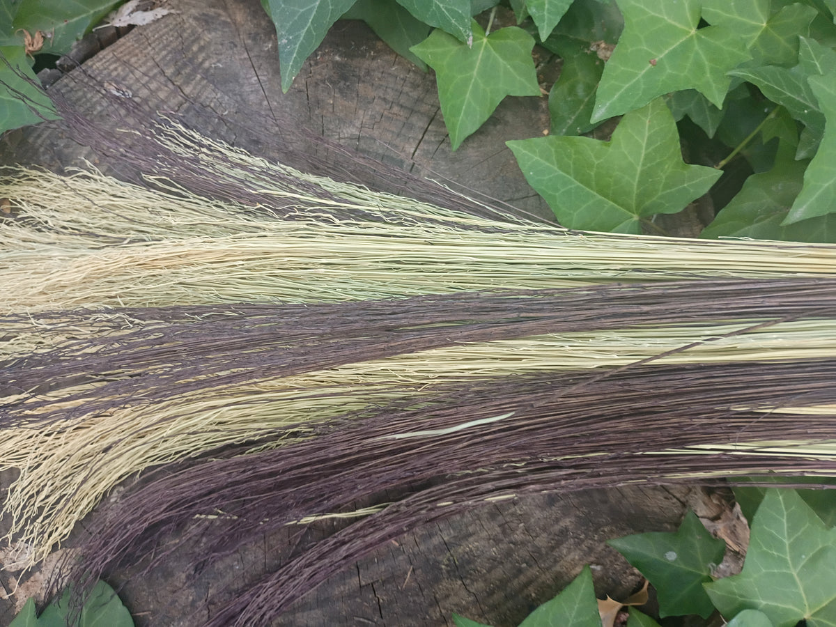 Wisdom Bringer Broom